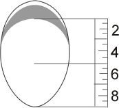 Basic Face Shape